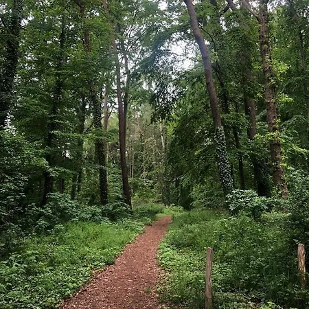 Strandstrasse H3w6 Koelpinsee Apartment *