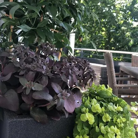 Apartment Strandstrasse H3w6 Koelpinsee *