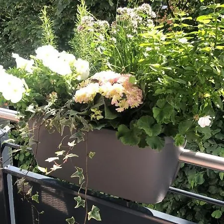 Strandstrasse H3w6 Koelpinsee Apartment Loddin